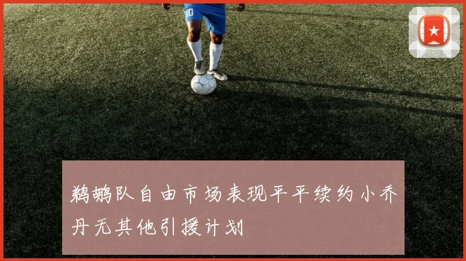 鹈鹕队自由市场表现平平续约小乔丹无其他引援计划