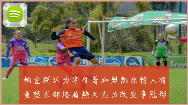 帕金斯认为字母哥加盟凯尔特人将重塑东部格局热火无力改变争冠形势